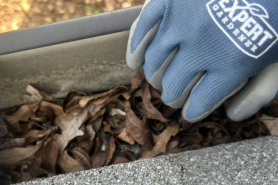 Gutter Cleaning South Pasadena FL