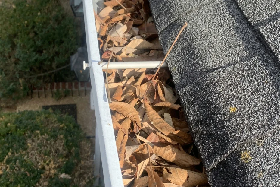 Gutter Cleaning South Pasadena FL