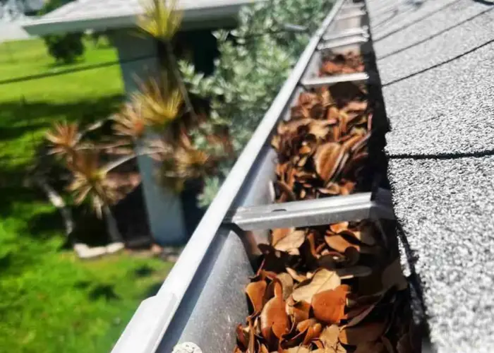 Gutter Cleaning South Pasadena FL home page